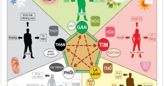 [Góc tìm hiểu] Học thuyết Âm Dương ứng dụng trong Y học Cổ truyền